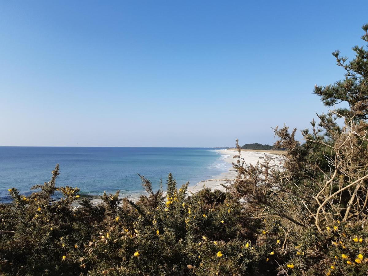 פואסננט Agape, Elegant T2, 4 Etoiles, Plage Et Gr34 3Km, Centre Ville 750M מראה חיצוני תמונה